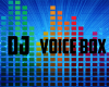 dj  voice box