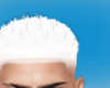 Cria Bh Platinado
