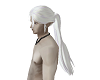 Fantasy White Hair
