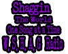 WSHAG radio brb sign