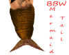 BBW Gold Mermaid tail.