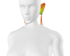 DT| Rainbowlight Ears
