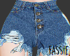 Denim Shorts RLL