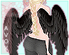 Black Baby Angel Wings