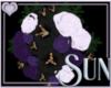 ( S ) My Bouquet
