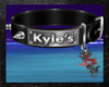 Kyle's Collar Luci