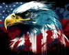 USA Eagle Pride Sticker
