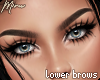 MIRU | Naia Eyebrows