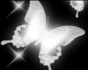 Shimmer Butterfly V1