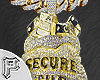 Chain Secure The Bag