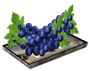Blue Grapes on Plate