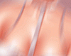 ❤️ Coquette gloss