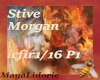 Stive Morgan Ice&Fire