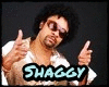 " Shaggy ""