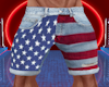 2023 4th of July Shorts