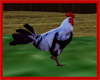 (LIR) VIKING Chicken 01.