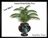 Sunset Potted Palm LowKb