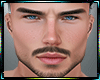 TONI Head MH