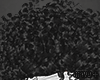 â¦ Rosalie - Black
