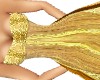 Royal Golden gown