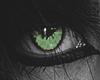 Ice Green Eye