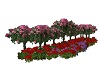 sj Edge flowers