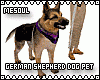German Shepherd Dog Pet