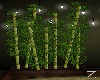 Z: Rainy Day Bamboo
