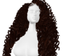 LONG BROWN CURLS