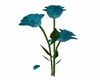 Animated Blue Roses