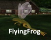 [BD]FlyingFrog