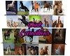 20 Horse Backgrounds