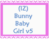 Bunny Baby Girl v5