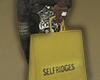 SM | SHOPPERS 2*