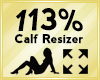 Scaler 113%**
