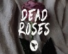 Dead Roses - Dj Anemia