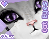 *W* Purple Cat eyes