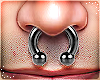 T | Asteri Septum