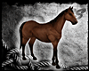 [SS] Horse FV