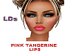 {LDs} Pink Tangerine