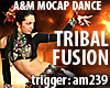 Tribal Fusion - dance