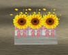 Y*Sunflowers Box