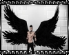 Dark ANGEL Huge Wings