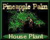 [my]Plant Pineapple Palm