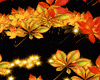 Autumn Light Bundle