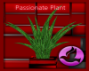 *PK* Passionate-Plant