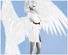 (Heavenly Angel Wings)