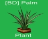 [BD] Palm Plant