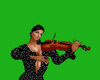 violin -3 music  §§