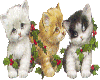 christmas cat